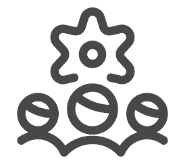 Immagine del progetto Borea